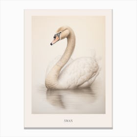 Vintage Bird Drawing Swan 3 Poster Canvas Print