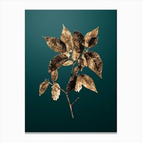 Gold Botanical American Hophornbeam on Dark Teal n.3090 Canvas Print