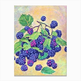 Blackberry 1 Vintage Sketch Fruit Canvas Print