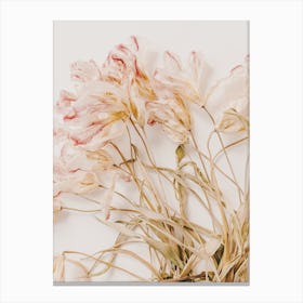 Dried Floral Arrangement Canvas Print