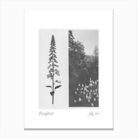 Foxglove Botanical Collage 3 Canvas Print