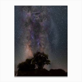 Silverback Gorilla Galaxy Canvas Print