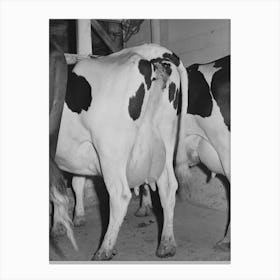 Cows Of Member Of The Dairymen S Cooperative Creamery,Caldwell, Canyon County, Idaho By Russell Lee Canvas Print