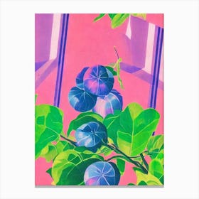 Water Chestnuts Risograph Retro Poster vegetable Canvas Print