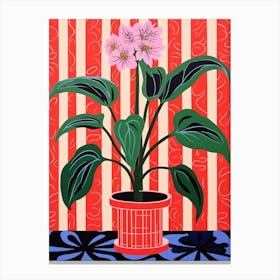 Pink And Red Plant Illustration Cast Iron Plant 2 Canvas Print