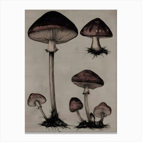 Mushroom Drawing Canvas Print