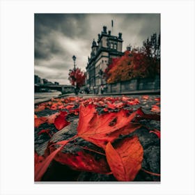 Autumn Leaves On The Ground Canvas Print