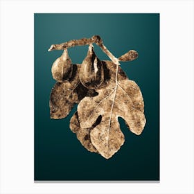 Gold Botanical Fig on Dark Teal n.2510 Canvas Print