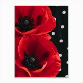 Poppies 6 Canvas Print