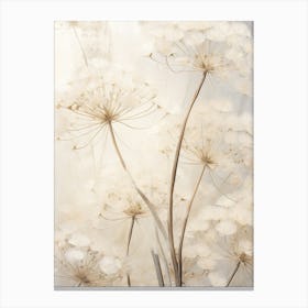Boho Dried Flowers Queen Annes Lace 3 Canvas Print
