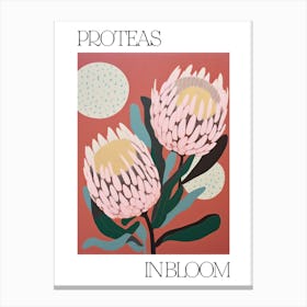Proteas In Bloom Flowers Bold Illustration 3 Canvas Print
