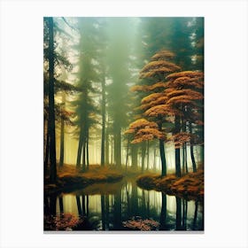 Autumn Forest 72 Canvas Print
