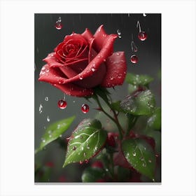 Red Roses At Rainy With Water Droplets Vertical Composition 35 Canvas Print