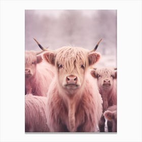 Highland Cow In The Snow Realistic Pink Photography 3 Canvas Print