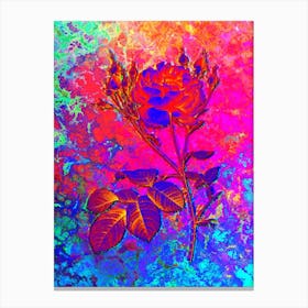 Pink Cumberland Rose Botanical in Acid Neon Pink Green and Blue n.0301 Canvas Print