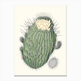 Acanthocalycium Cactus William Morris Inspired 2 Canvas Print