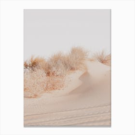 White Sands Dunes Canvas Print