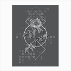 Vintage Stapelia Rose Bloom Botanical with Line Motif and Dot Pattern in Ghost Gray n.0363 Canvas Print