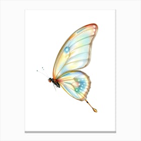 Butterfly 3 Canvas Print