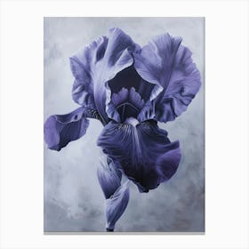 Iris Fl 95 Canvas Print