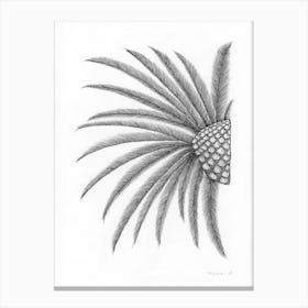 Overlooking Palm Tree Leaves Line Art Drawing Canvas Print