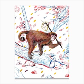 Monkey Canvas Print