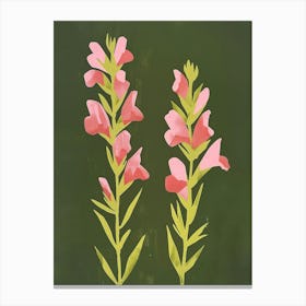 Pink & Green Snapdragon 2 Canvas Print