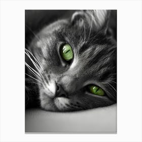 Cat With Green Eyes 1 Canvas Print