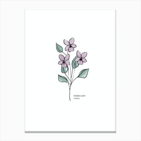 February Violet Birth Flower Canvas Print