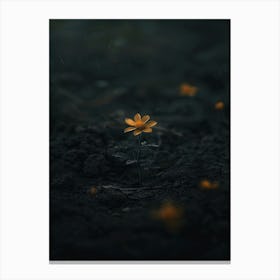 Flower In The Dark 49 Canvas Print