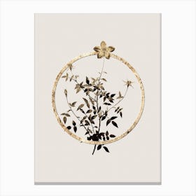 Gold Ring Single Dwarf Chinese Rose Glitter Botanical Illustration n.0113 Canvas Print