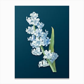 Vintage Oriental Hyacinth Botanical Art on Teal Blue n.0497 Canvas Print