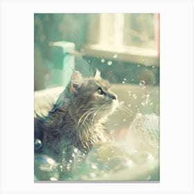 Bathing Cat Canvas Print