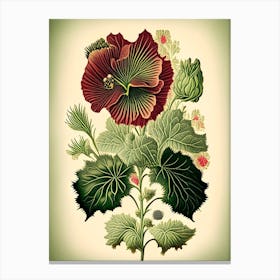Hollyhock Wildflower Vintage Botanical 2 Canvas Print