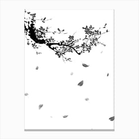 white and black cherry blossoms 1 Canvas Print
