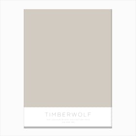 The Colour Block Collection - Timberwolf Canvas Print