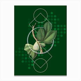 Vintage Fig Botanical with Geometric Line Motif and Dot Pattern n.0023 Canvas Print