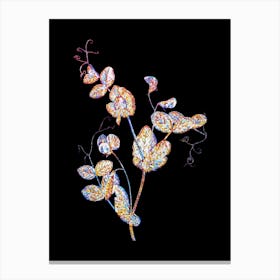 Stained Glass White Pea Flower Mosaic Botanical Illustration on Black n.0138 Canvas Print