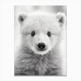 Polar Bear Cub Canvas Print