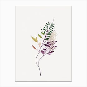 Thyme Leaf Abstract Canvas Print