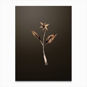 Gold Botanical Erythronium on Chocolate Brown n.4591 Canvas Print