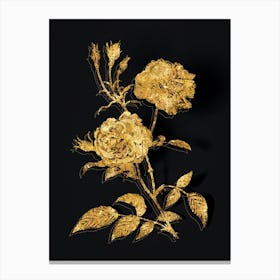 Vintage Vintage Ever Blowing Rose Botanical in Gold on Black n.0322 Canvas Print