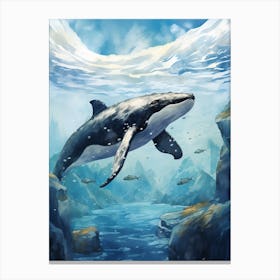 Minke Whale Realistic Illustration 1 Canvas Print