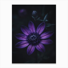 Purple Flower On Dark Background Canvas Print