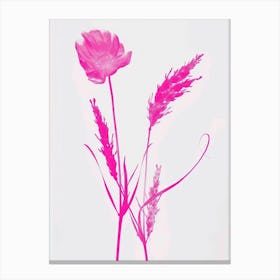 Hot Pink Fountain Grass 1 Canvas Print