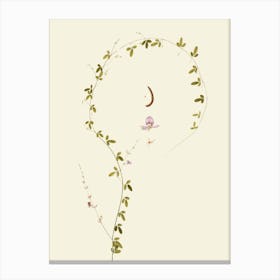 Moon And Flowers Canvas Print