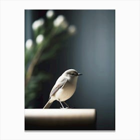 cute bird Canvas Print