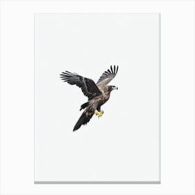 Golden Eagle B&W Pencil Drawing 1 Bird Canvas Print