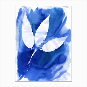 Cyanotype Botanical 5 Canvas Print