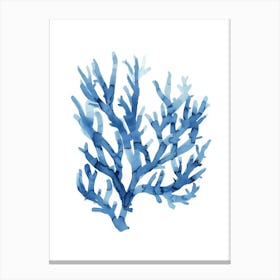 Blue Coral Canvas Print